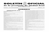 BOLETÍN OFICIAL · BOLETÍN OFICIAL de la provincia de Ciudad Real Viernes, 7/noviembre/2008 Número 134 SUMARIO ADMINISTRACIÓN LOCAL DIPUTACION PROVINCIAL INTERVENCIÓN Expediente