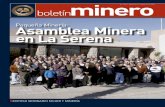 Pequeña Minería: Asamblea Minera en La Serena...Entrevista al Director de Sernageomin: “Me he puesto metas exigentes” Pequeña Minería: Asamblea Minera en La Serena MAYO 11