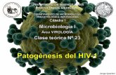 DEPARTAMENTO DE MICROBIOLOGÍA, PARASITOLOGÍA E …³rico 23... · Clasificación de los tipos, grupos, subtipos y formas recombinantes SIVsm/HIV-2 SIVcpz/HIV-1 Pan troglodites Sooty