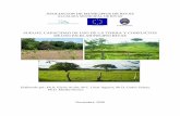Caracterización de los suelos del municipio de Rivascenida.una.edu.ni/relectronicos/RENP30A837.pdf · neto y plano, frecuentes raíces. Fases de la serie de suelos Rivas (RS) RSa: