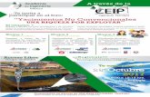 Academia Ingeniería México CEIPP · “Importancia de la caracterización geomecánica en el diseño de fracturamiento hidráulico en lutitas orgánicas”. M. en I. María de Carmen