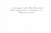 Grupo de Reflexão Prospectiva sobre o Mercosulfunag.gov.br/biblioteca/download/82-Grupo_de_Reflexao_Prospectiva... · pertinentes aos vários temas que estão sob a responsabilidade