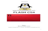 FLASH CS4 · 2012. 4. 27. · Adobe Flash CS4 14 A segunda opção “Scale” permite dimensionar a forma selecionada. Se redimensionar seu objeto com a tecla ALT pressionada ao
