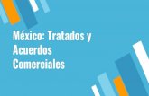 México: Tratados y Acuerdos Comerciales · TLCAN 17 de Diciembre de 1992 se firma el TLCAN 1993 se negocian acuerdos sobre materia laboral y medio ambiente 1 de Enero de 1994 entra