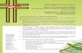 Liturgia Dominical · 2020. 4. 3. · Antes de comenzar hemos preparado en una mesita o en otro lugar adecuado una vela encendida, una biblia abierta, una cruz,una planta natural