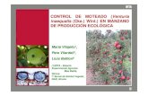 CONTROL DE MOTEADO ( Venturia inaequalis (Cke.) Wint.) EN ...agroecologia.net/recursos/congresos/2010/lleida... · Separación de medias según el test de Tukey (p