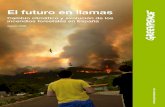 Cambio climático y evolución de los incendios forestales ......a la atmósfera, y el papel que los incendios forestales pueden jugar en contra de la capacidad de los sistemas forestales