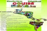 Boletin Digital COLSIBA€¦ · Dentro de las cosas positivas de esta reunión, esta la ratificación del convenio firmado en 2001 por parte del Consorcio Brasileño representado