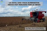 LA SOYA, UNA VIEJA ALTERNATIVA ASO A, NA EJA ALTER AT V ... · «Fondesoya» «Iniciativa Agroisleña» «Abreu de Lima» • Por falta de políticas integrales de comercialización