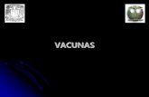 VACUNASdepa.fquim.unam.mx/bacteriologia/pdfs/vacunas160617.pdf · 2017. 3. 16. · Se clasifican con base en las características de los inmunógenos que las conforman: Las constituidas