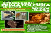 CURSO INTRODUCCIÓN A LA PRIMATOLOGÍA DE CAMPO€¦ · de disciplinas relacionadas con el ecosistema y la biodiversidad del África del Oeste, con especial atención a los estudios