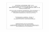 EVOLUCION DE LA COPARTICIPACION A LOS MUNICIPIOS Y … · 2010. 5. 12. · Pertenecen al primer grupo los Impuestos al Patrimonio (Inmobiliario) y la Patente sobre Vehículos Automotores.