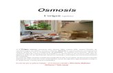 Osmosis ... Osmosis L¢´origen experience En L¢´Origen Osmosis cocinamos para haceros llegar nuestro