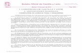 Boletín Oficial de Castilla y León - Soriactivasoriactiva.com/PAC/doc/ORDEN_AYG_2416-2009.pdf · Reglamento entran en vigor desde principio del año 2009 y otras a partir de comienzos