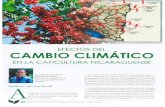 Productores agrícolas y pecuarios de nicaraguaguiagronicaragua.com/wp-content/uploads/2016/11/Cambio... · 2019. 7. 6. · en las plantas, son los factores más importantes en la