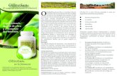 produktflyer olivosan spanish · medicina, nutrición y fitomedicina. El extracto de hoja de olivo, con sus complejos principios activos, es uno de los tres componentes principales