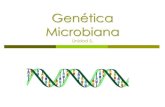 Genética Microbiana - UNAMdepa.fquim.unam.mx/amyd/archivero/U5a_GeneticaMicrobiana_2026… · Genética Microbiana Unidad 5. Genética microbiana ... bases en el genoma de un microorganismo.