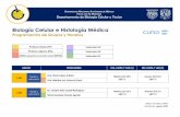Biología Celular e Histología Médica curso 2020 ...bct.facmed.unam.mx/wp-content/uploads/2020/09/HORARIOS...Dr. José de Jesús Abad Moreno Martes 14-17 h LBCT 1 Viernes 14-16 h