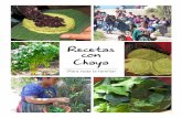 Recetas con Chaya · Una porción de 100 gramos es más o menos equivalente a: • 50 a 60 hojas frescas = 1 manojo = 1 taza de chaya cocida ¿Cómo se cocina? 1. Primero se deben