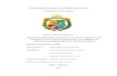 UNIVERSIDAD NACIONAL AUTÓNOMA DE CHOTA (Creada por Ley …repositorio.unach.edu.pe/bitstream/UNACH/91/1/Reforma tributaria.pdf · (Creada por Ley Nro. 29531) Informe final de investigación