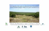 Artrópodos del suelo en plantaciones forestales: ¿hacia dónde … · 2014. 1. 9. · en Pinus elliottii E.: coleópteros (González et al. 2012) en Pinus taeda L.: escolítidos