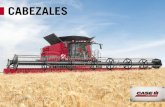 CABEZALES - CNH Industrial...Diseñar un cabezal capaz de afrontar cualquier reto agrícola no es tarea fácil. El cabezal de cintas 3100 cosecha todos los cultivos sin problemas.