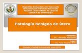 Patología benigna de útero · 2020. 5. 11. · Patología benigna de útero República Bolivariana de Venezuela Universidad Central de Venezuela Hospital Universitario de Caracas