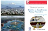 Geofísica en Zonas Urbanas – Retos y Perspectivascicm.org.mx/wp-content/files_mf/colnalcicm2019geophysics... · 2019. 6. 17. · VERTICAL . Magnetometría Gravimetría ... VI y