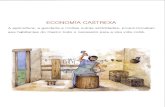 Museo do Castro de Viladonga1— Os diversos obxectos de ferro, bronce, pedra e barro, así como Ósos e sementes carbonizadas, ofrécennos información sobre a economía dos habitantes