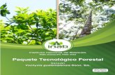 Publicación del Instituto Nacional de Bosques (INAB ...mangomaps.inab.gob.gt/PTF_Vochysia_guatemalensis.pdfEl Instituto Nacional de Bosques –INAB- es el órgano de dirección y