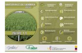 EVA INIAPeva.iniap.gob.ec/.../uploads/2018/05/info-arroz.pdf · 2018. 5. 17. · presentes en el lote Nutrientes Incorporar al suelo los residuos {ateria orgánica un para el trasplante