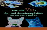 Control de ectoparásitos en perros y gatos · 2020. 2. 14. · 4 Guía ESCCAP no 3 Control de ectoparásitos en perros y gatos Introducción Introducción Los ectoparásitos o parásitos