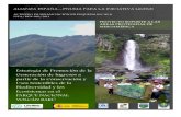 Estrategia de Promoción de la Generación de Ingresos a ...€¦ · Para la provincia de Chiriquí, la zona boscosa del Parque Nacional Volcán Barú, es una de las principales generadoras