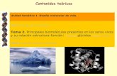 Academia Madrid Ingeniería Cartagena99 Centro de Formación ... … · 2015. 10. 24. · Unidad temática 1. Diseño molecular de vida. Tema 1. El agua como disolvente Tema 2. Principales