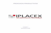 Procesos Productivos Icursos.iplacex.cl/CED/PPC4202/S1/ME_1.pdf · 2014. 11. 28. · Podemos clasificar los procesos productivos de distintas formas: 1) Según el tipo de transformación