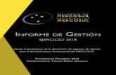 Informe de GestIón - Parlamento MERCOSUR · Informe de GestIón EJERCICIO 2018 Desde la perspectiva de la generación de espacios de opinión para el fortalecimiento institucional