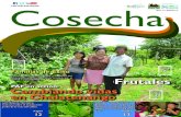 Centro Nacional de Tecnología Agropecu - Calendario agrícola … - REVISTA COSECHA EDICION.pdf · 2016. 2. 4. · estufas ahorradoras de leña y filtros purificadores de agua. Las
