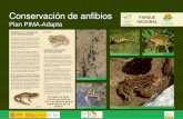 Conservación de anfibios · 2020. 8. 6. · cuencia por los anfibios como hábitat para reproducirse. Una vez finalizado este perio-do, los anfibios tienen que abandonar estos lugares