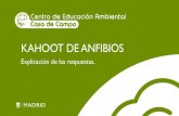 KAHOOT DE ANFIBIOS - Madrid · KAHOOT ANFIBIOS-RESPUESTAS •Acciones para la conservación: construir y restaurar charcas, instalar rampas de salida en charcas y abrevaderos, no