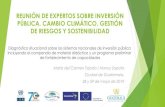 REUNIÓN DE EXPERTOS SOBRE INVERSIÓN PÚBLICA ......Ciudad de Guatemala, 28 y 29 de mayo de 2019 Diagnóstico situacional sobre los sistemas nacionales de inversión pública incluyendo