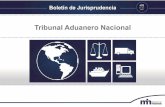 Ministerio de Hacienda - República de Costa Rica - #75 de... · 2019. 2. 6. · siguientes de la LGA, norma que lo conceptualiza como un profesional, especialista en la materia,
