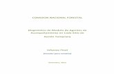 COMISION NACIONAL FORESTAL Diagnóstico de Modelo de ...sis.cnf.gob.mx/wp-content/plugins/conafor-files/2018/nacional/catalo… · El Programa Especial de Cambio Climático 2009-2012