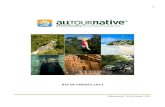 KIT DE PRENSA 2013 - WordPress.com · 2013. 7. 30. · 3: Alltournative * Kit de Prensa* 2013 MISIÓN “Dar a los turistas experiencias maravillosas e inolvidables a través de expediciones