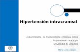 Hipertensión intracranealbiocritic.es/.../2020/03/Hipertensión-intracraneal.pdf · 2020. 3. 14. · 2 a.m de la mañana Enfermera: Hola Juan, perdona que te moleste, la señora