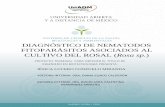 DIAGNÓSTICO DE NEMATODOS FITOPARÁSITOS ......Para Hernández, Del Vallín y Hernández (2016) el diagnóstico nematológico constituye una herramienta útil para conocer el tipo