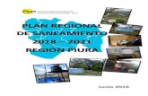 PLAN REGIONAL DE SANEAMIENTO 2018 - 2021 REGION PIURA.direccionsaneamiento.vivienda.gob.pe/Planes Regionales de Saneam… · IV.1.e. Descripción de los prestadores de servicios a