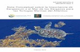 Pro Tempore - iacseaturtle.org · Nota Conceptual sobre la Importancia de Sargassum y el Mar de los Sargazos para ... peces lija y ballesta (Balistidae) y el pez flotante (Stromateidae)
