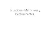 Ecuaciones Matriciales y Determinantes. · Ecuaciones Matriciales y Determinantes. Unidad 8. Matrices 176 Apuntes de Matemáticas II (2ºBachillerato) para preparar el ... X=Id+(A2-A)·C-1