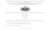 TEMA GENERAL SUB TEMA - UNAN-Managuarepositorio.unan.edu.ni/3349/1/17305.pdfI.- TEMA GENERAL FINANZAS II.- SUB TEMA ANALISIS DE LA CARTERA DE CREDITO MEDIANTE LA APLICACIÓN DE UN