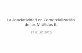 La Asociatividad en Comercialización de los Mitílidos II. · 2020. 7. 21. · caso de La Paz (Bolivia) donde el sector de la economía informal cubre más del 90%de la demanda local